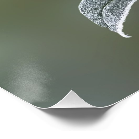 Spitze auf Blätter Poster (Ecke)