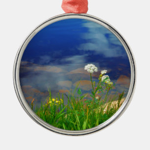 Spitze-Blumen der Königin Anns, blauer Gebirgssee Silbernes Ornament