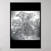 spitze poster (Vorne)