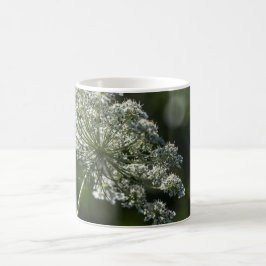 Spitze-weiße Wildblume-Tassen-Schale der Kaffeetasse