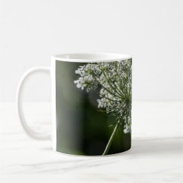 Spitze-weiße Wildblume-Tassen-Schale der Kaffeetasse
