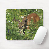 Spitzen-Dollar, der die Frühlings-Gärten grast Mousepad (Mit Mouse)