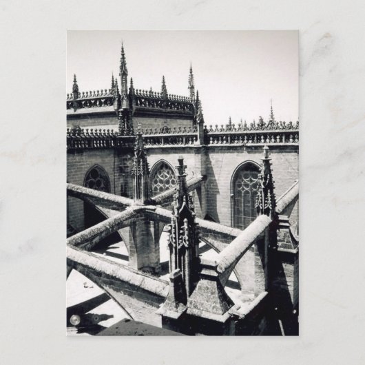 Spitzen Postkarte (Vorderseite)