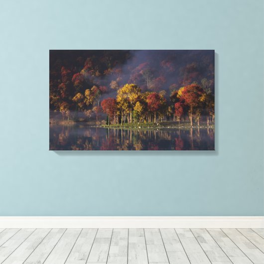 Spitzenfarben-Canvas drucken Leinwanddruck (Insitu (Holzboden))