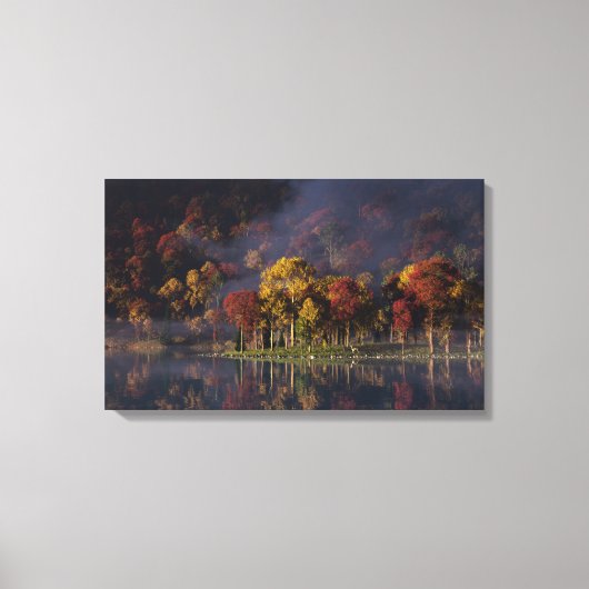 Spitzenfarben-Canvas drucken Leinwanddruck (Vorderseite)