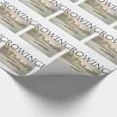 SPITZENrudersport Geschenkpapier (Ecke)