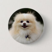 SpitzHeadshot 1 Button (Vorderseite)