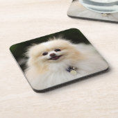 SpitzHeadshot 1 Getränkeuntersetzer (Linke Seite)