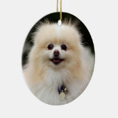 SpitzHeadshot 1 Keramikornament (Rechts)