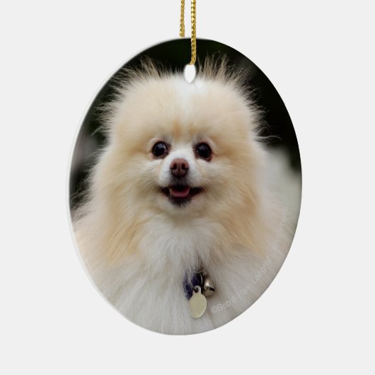 SpitzHeadshot 1 Keramikornament (Rechts)