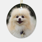 SpitzHeadshot 1 Keramikornament (Links)