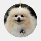 SpitzHeadshot 1 Keramikornament (Hinten)