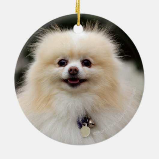 SpitzHeadshot 1 Keramikornament (Hinten)