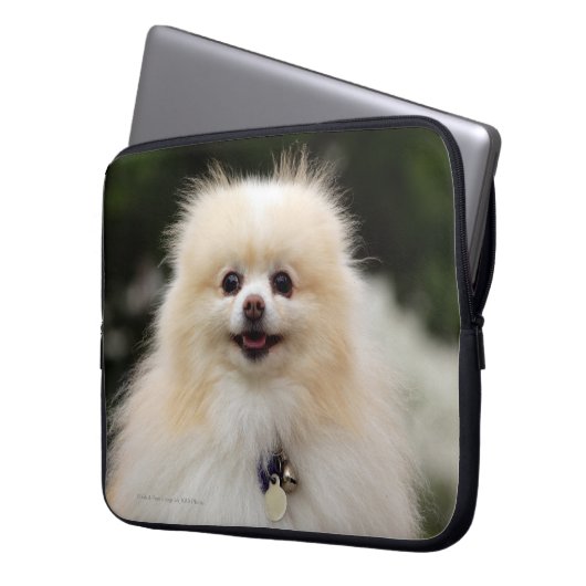 SpitzHeadshot 1 Laptopschutzhülle (Vorderseite Links)