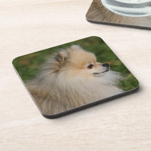 SpitzHeadshot 2 Getränkeuntersetzer (Linke Seite)