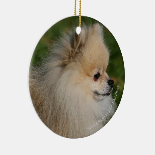 SpitzHeadshot 2 Keramik Ornament (Rechts)