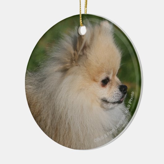 SpitzHeadshot 2 Keramik Ornament (Links)