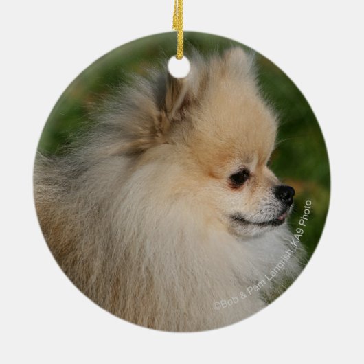 SpitzHeadshot 2 Keramik Ornament (Hinten)