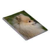 SpitzHeadshot 2 Notizblock (Rechte Seite)