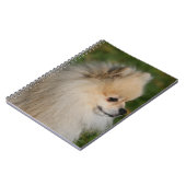 SpitzHeadshot 2 Notizblock (Linke Seite)