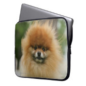 SpitzHeadshot, der Kamera betrachtet Laptopschutzhülle (Vorderseite Links)