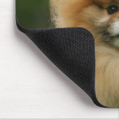 SpitzHeadshot, der Kamera betrachtet Mousepad (Ecke)