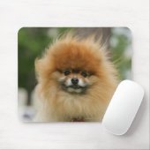 SpitzHeadshot, der Kamera betrachtet Mousepad (Mit Mouse)