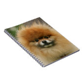 SpitzHeadshot, der Kamera betrachtet Notizblock (Rechte Seite)