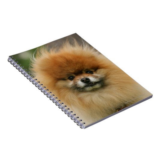 SpitzHeadshot, der Kamera betrachtet Notizblock (Rechte Seite)