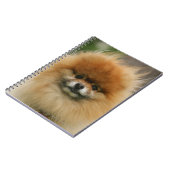 SpitzHeadshot, der Kamera betrachtet Notizblock (Linke Seite)