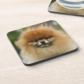 SpitzHeadshot, der Kamera betrachtet Untersetzer (Linke Seite)