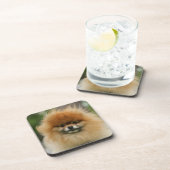 SpitzHeadshot, der Kamera betrachtet Untersetzer (Rechte Seite)