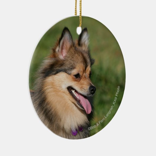 Spitzheadshot-Keuchen Keramik Ornament (Rechts)