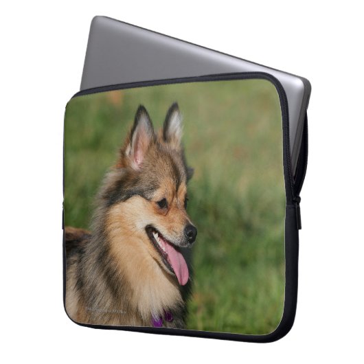 Spitzheadshot-Keuchen Laptopschutzhülle (Vorderseite Links)