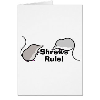 Spitzmaus-Regel!