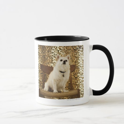 Spitzmischung Tasse (Rechts)