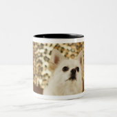 Spitzmischung Zweifarbige Tasse (Mittel)