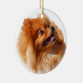 SpitzSpitz Keramikornament (Rechts)