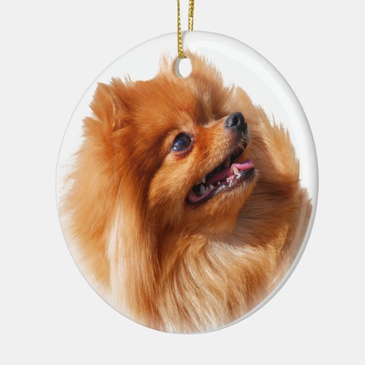SpitzSpitz Keramikornament (Links)