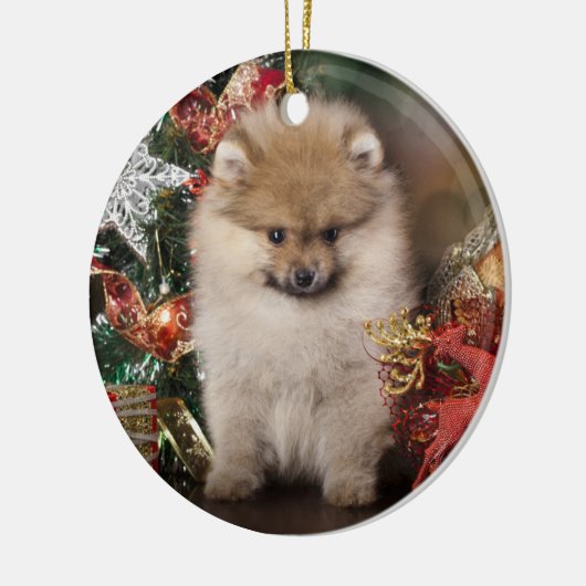 SpitzSpitz, Weihnachtswelpe Keramikornament (Links)