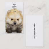 Spitzwelpen-Geschäftskarte Visitenkarte (Vorne/Hinten)