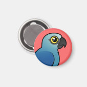 Spix's Macaw Magnet (Vorderseite/Rückseite)