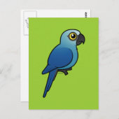 Spix's Macaw Postkarte (Vorne/Hinten)