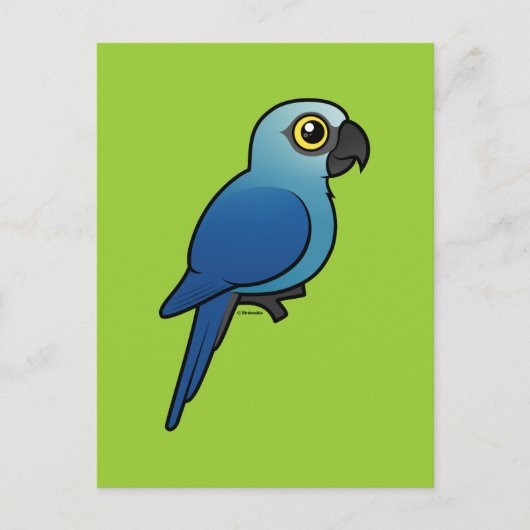 Spix's Macaw Postkarte (Vorderseite)