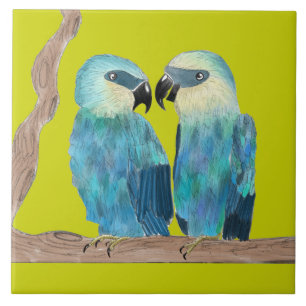 Spix's Macaws auf einer Keramik - (G) Fliese