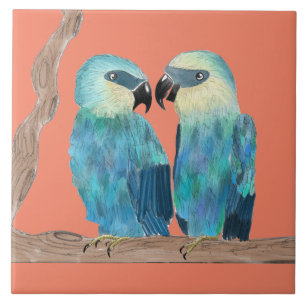 Spix's Macaws auf einer Keramik - (O) Fliese