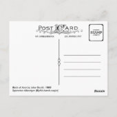 Spizaetus Alboniger (Blyth's Habichtsadler) Postkarte (Rückseite)