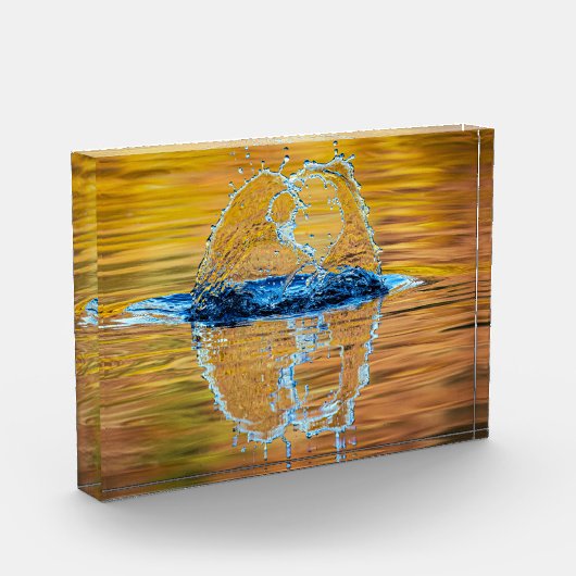 Splash auf einen Fall Abend Fotoblock (Links)