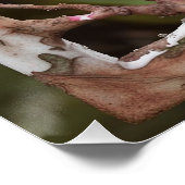 SPLASH FESTIVAL POSTER (Ecke)