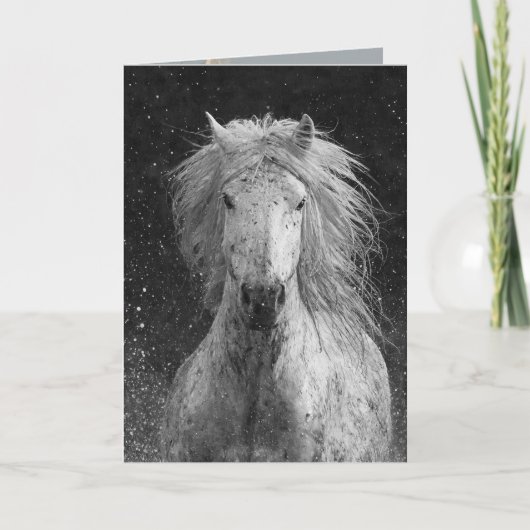 Splash Horse Greeting Card Karte (Vorderseite)